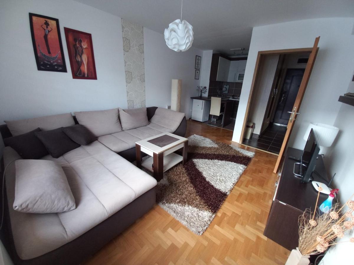 Apartman Pivasevic 塞拉耶佛 外观 照片